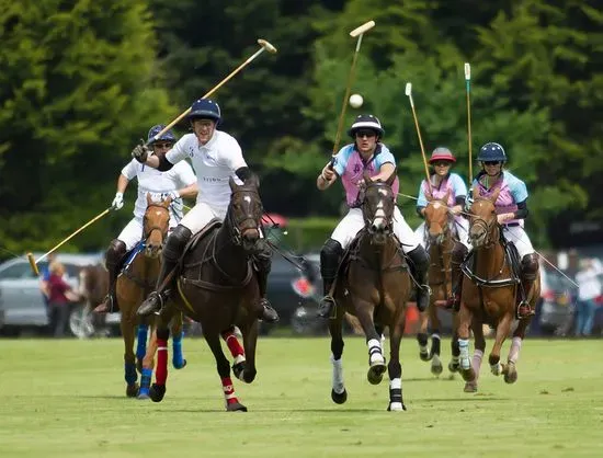 Ham Polo Club