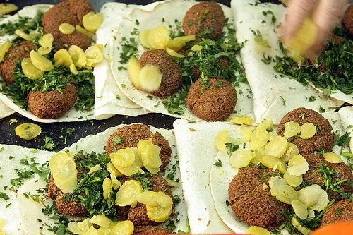 Daily Fresh Falafel