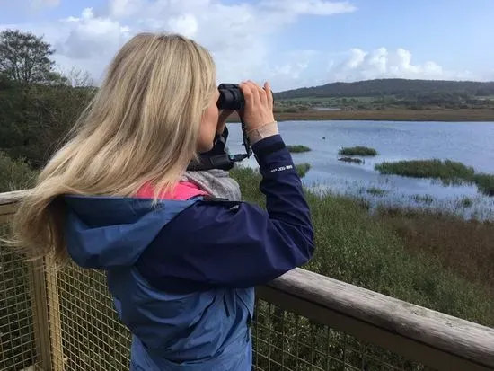 RSPB Leighton Moss