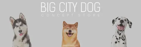 Big City Dog