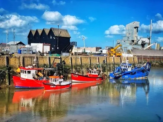 West Whelks / Whitstable Harbour Oyster Store