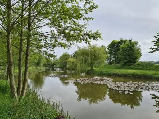 Pool Bridge Farm - Wild Swimming & Wellbeing