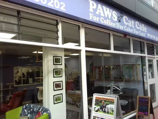 Paws Cat Cafe