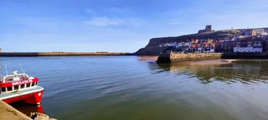 Whitby Fudge Icecream