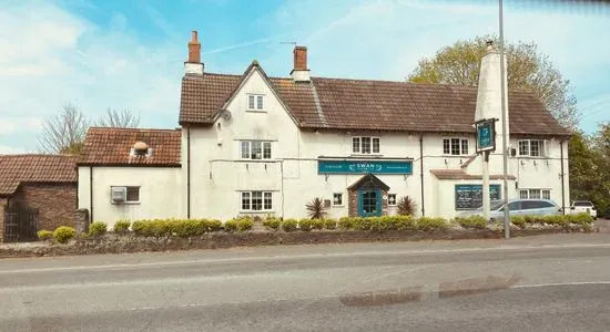 The Swan