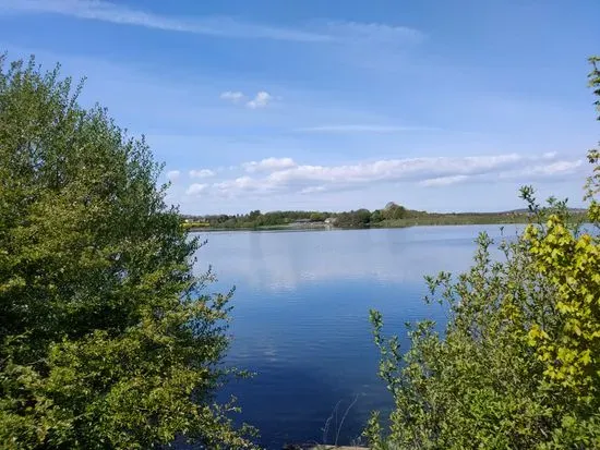 Thrybergh Country Park