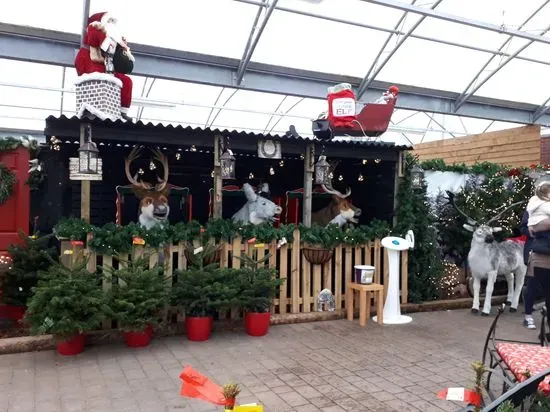 High Legh Garden Centre