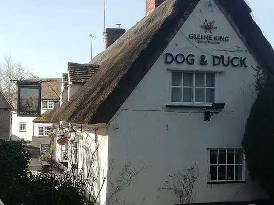 The Dog & Duck