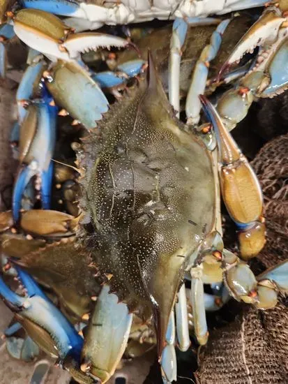 Stoney Farms Crab Shop