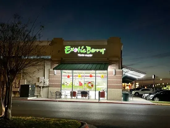 Exotic Berry Frozen Yogurt