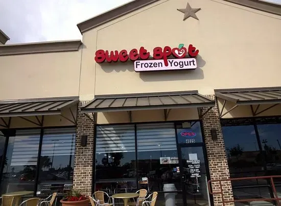 Sweet Spot: Frozen Yogurt