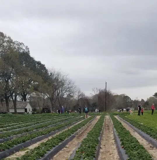 Froberg's Farm