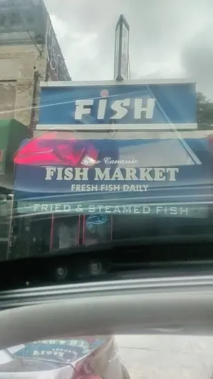 Blue Canarsie Fish