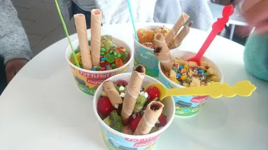 Tutti Frutti Frozen Yogurt