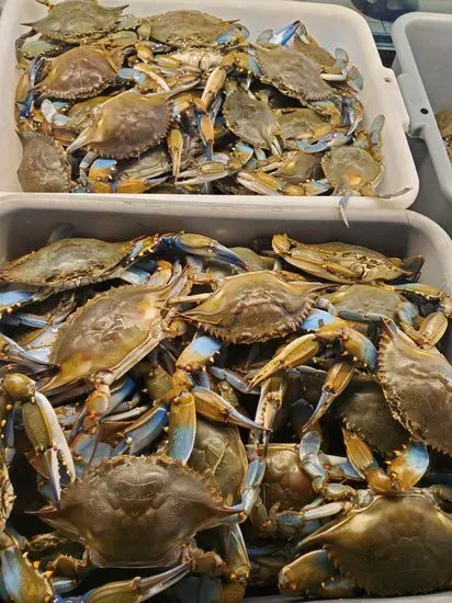 Ocean City Seafood Market