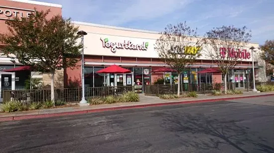 Yogurtland Walnut