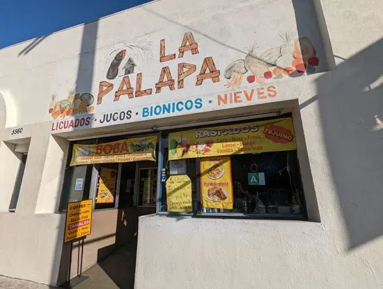 Bionicos La Palapa