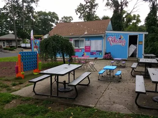 Pelican's Snoballs- Original New Orleans Shaved Ice