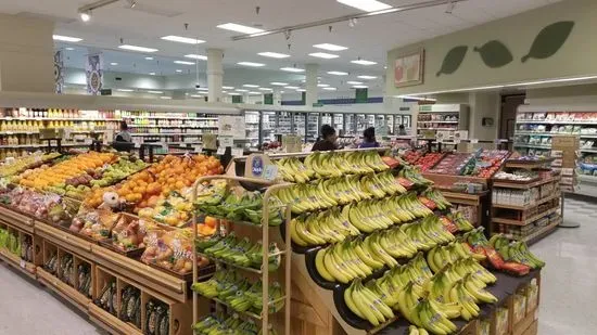 Publix Super Market at Terrace Ridge Plaza