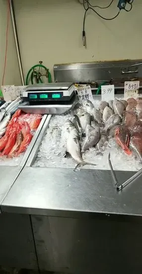 Shang Hai Fish Market