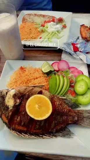 El Charro