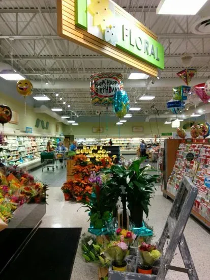 Publix Super Market at New Tampa Center