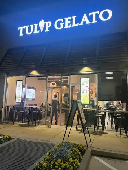 Tulip Gelato