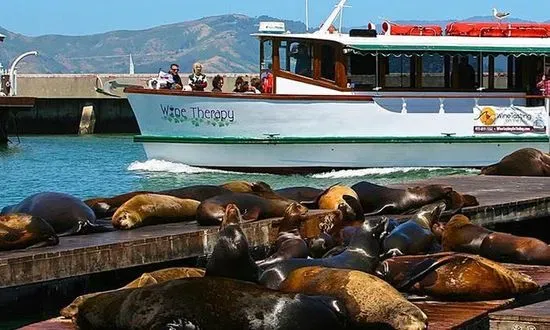 Wine Tasting on the Bay / San Francisco Bay Boat Cruises Inc