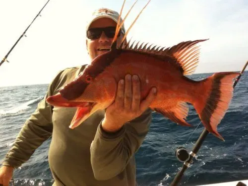 Key West Shrimp Co.