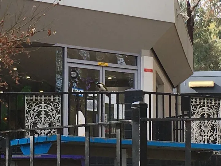 the-gardens-cafe-function-centre-wagga-wagga-nsw-checkle