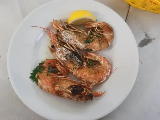 Trattoria di Pesce