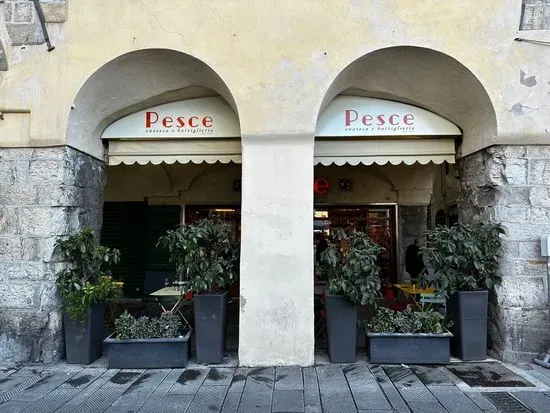 Enoteca Pesce - Wine Bar