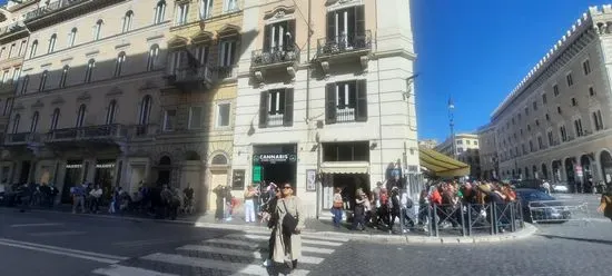 Bar Barberi