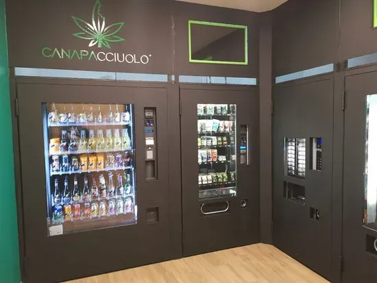 Canapa concept - Hempstore H24 | Canapa light