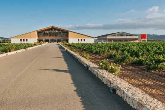 Bodega Señorio de Barahonda