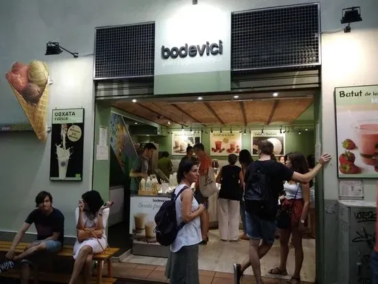 Bodevici gelats ecològics