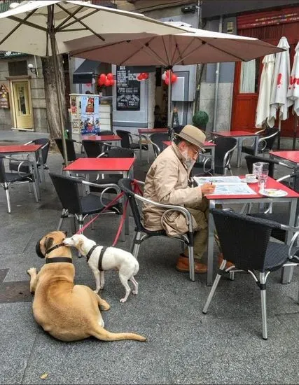 Cervecería La Plaza