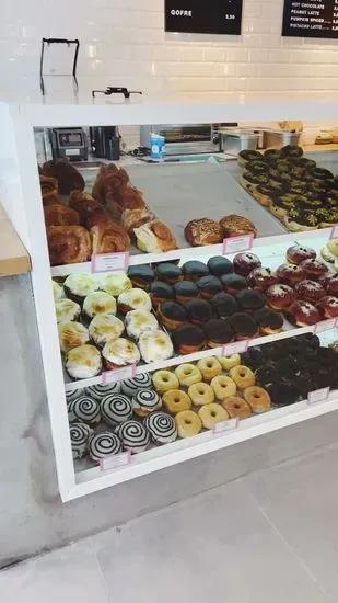 Delish Vegan Doughnuts