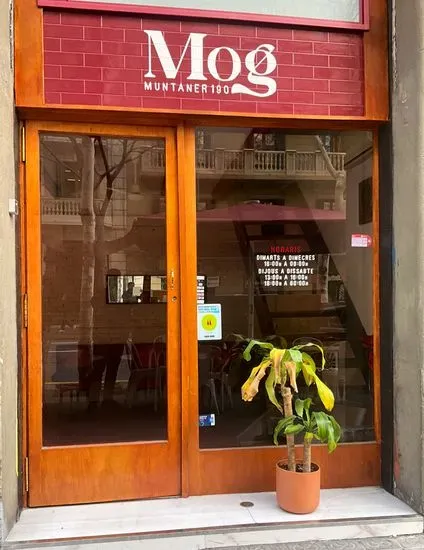 Mog Barcelona