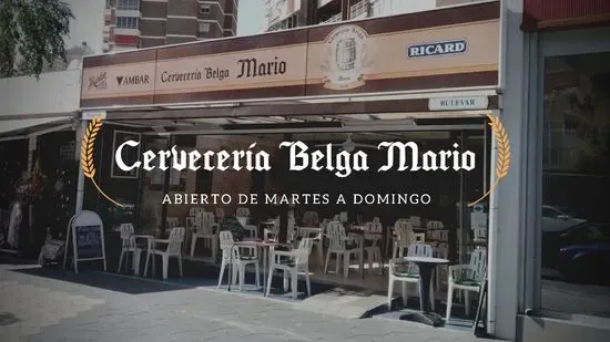 CERVECERÍA BELGA MARIO