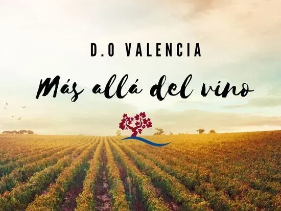 Vins de València (D.O.P).