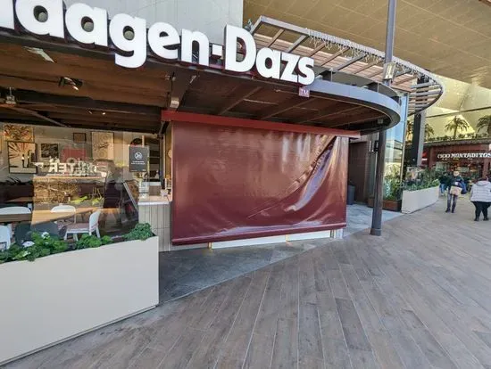 Häagen-Dazs