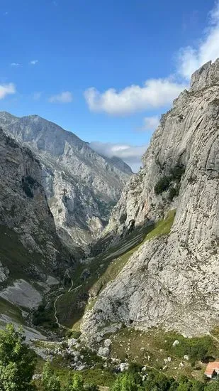 Naranjo de Bulnes