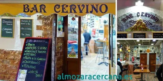 Bar Cervino