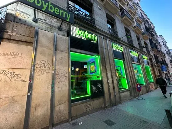 Boyberry Madrid