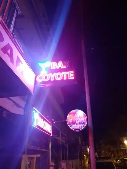 Bar St.Pauli coyote