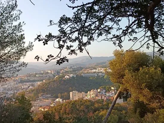 Café Bar Ferrandi