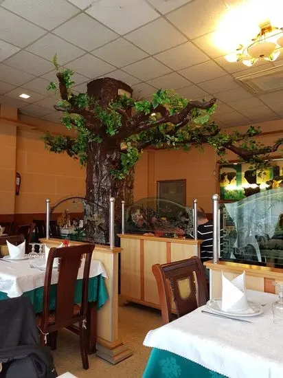 Restaurant Xinès Nou Món