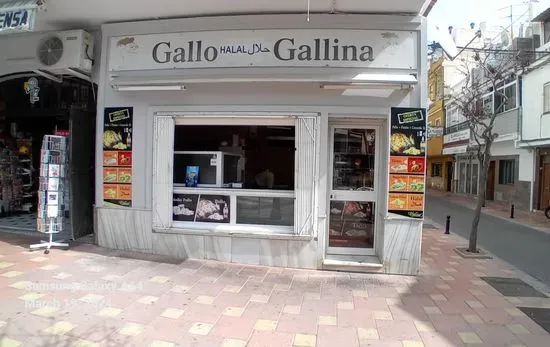 Gallo Gallina