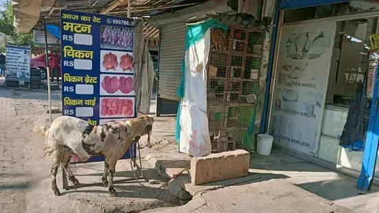 A1 Jhatka Mutton & Chicken Palace